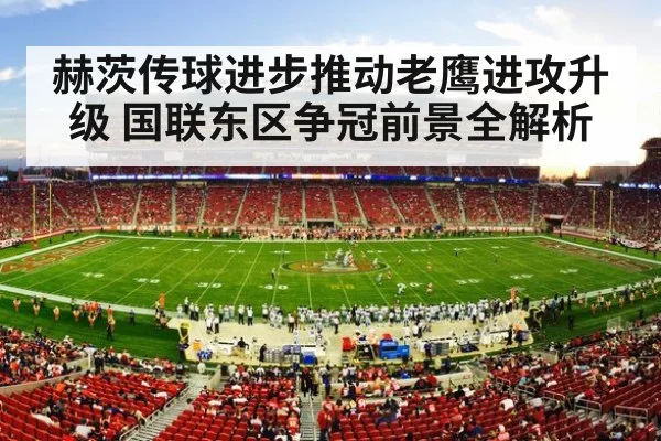 american football stadium crowd