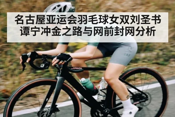 名古屋亚运会羽毛球女双刘圣书谭宁冲金之路与网前封网分析